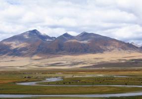 Nagqu Chiangtang Plateau Grassland
